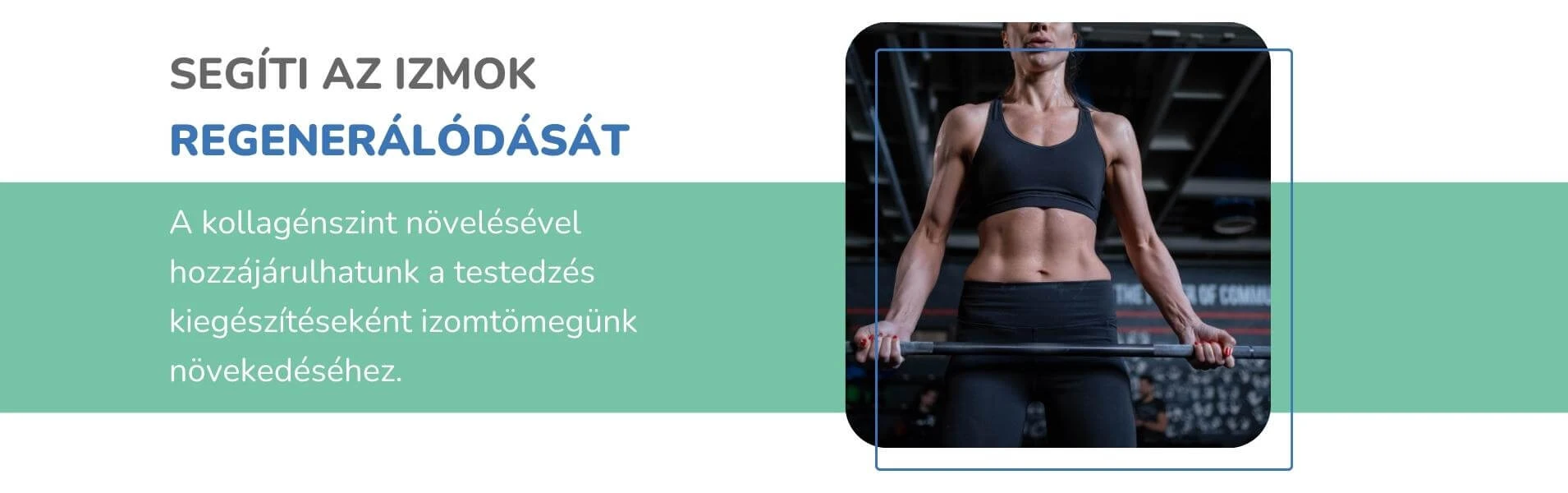 Segíti az izmok regenerálódását
