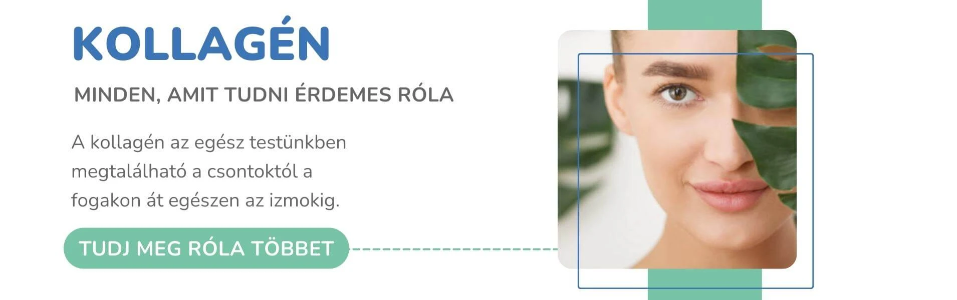 Kollagén, minden, amit tudni érdemes róla