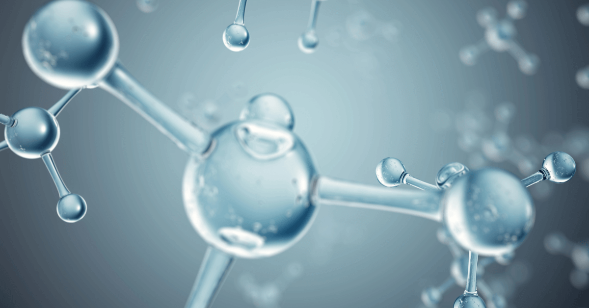 Marhakollagén vs. halkollagén – melyik a jobb választás?